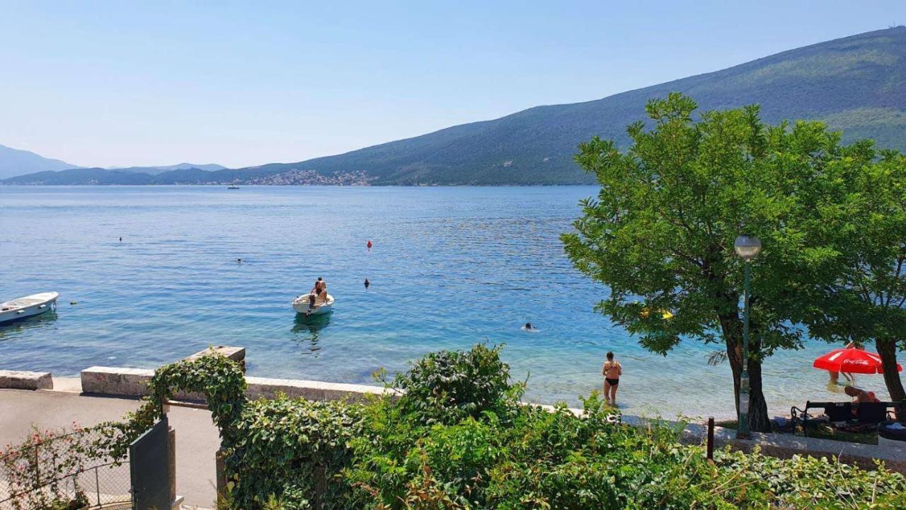 Apartment Dunja Djenovici Herceg Novi Exteriér fotografie