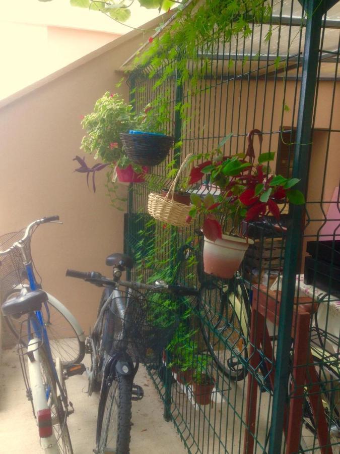Apartment Dunja Djenovici Herceg Novi Exteriér fotografie